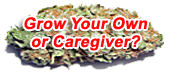 Grow or Caregiver