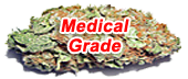 Medical Grade