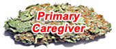 Primary Caregiver