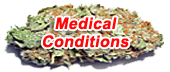 Medical Conditions