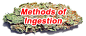 Methods of Ingestion