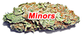 Minors