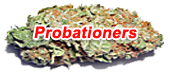 Probationers