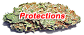 Protections